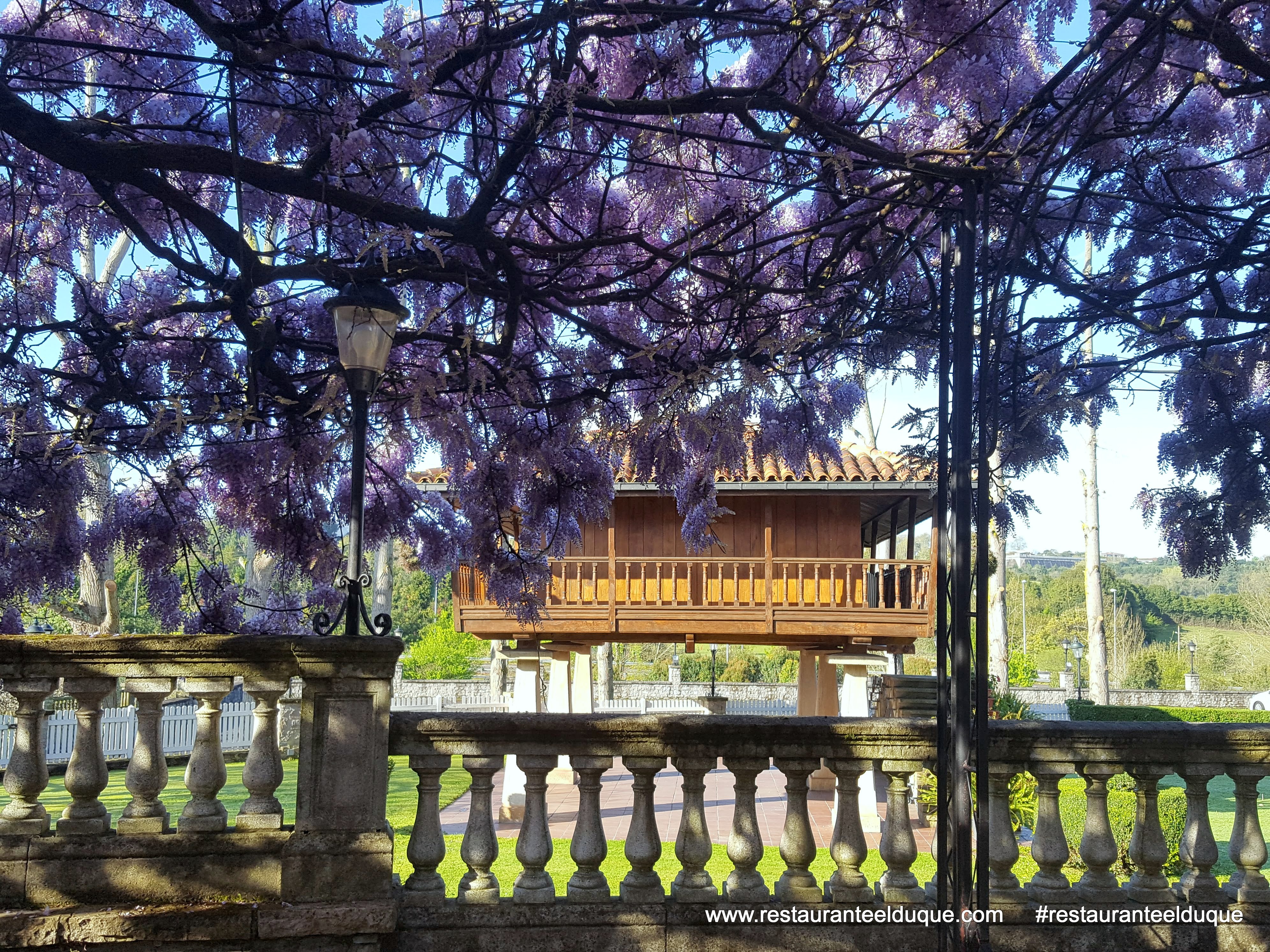 Finca privada para bodas El Duque